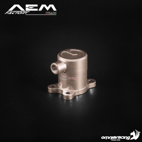 AEM clutch slave cylinder titanium grey for Ducati Paul Smart 1000