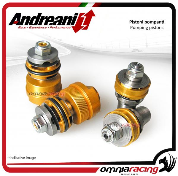 Andreani pistons pumping kit for compression and rebound Kawasaki Z1000 2007>2009