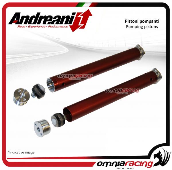 Andreani compression and extension piston pump kits and tube for MV Agusta Brutale 800 2013>2015
