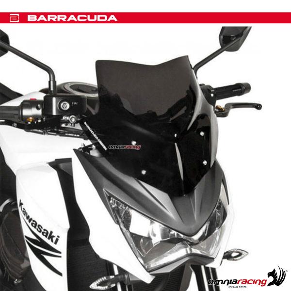 kawasaki z800 fairing kit