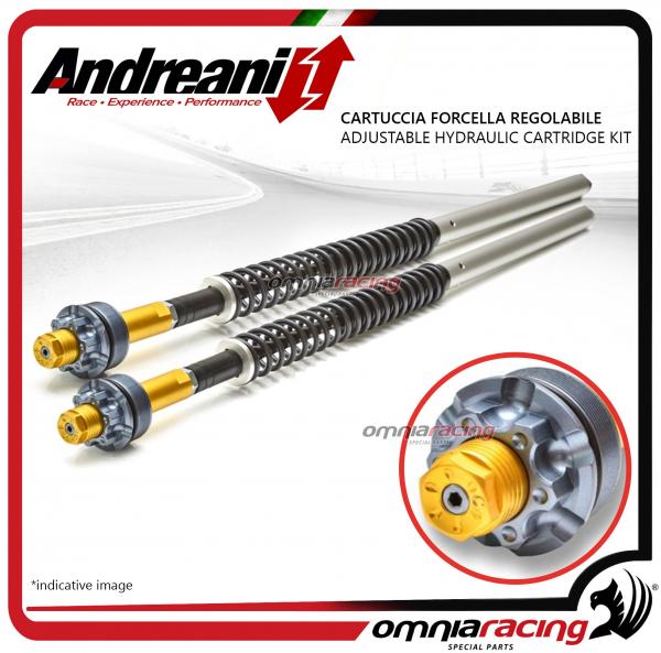 Andreani adjustable Hydraulic cartridges Kit Fork Harley Davidson Dyna Low Rider S